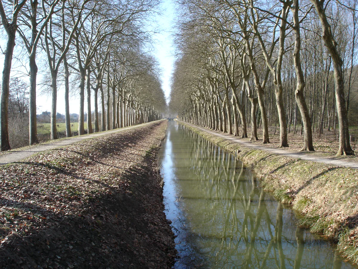 Canal de la Sauldre et berge arborée dans le secteur de Blancafort
