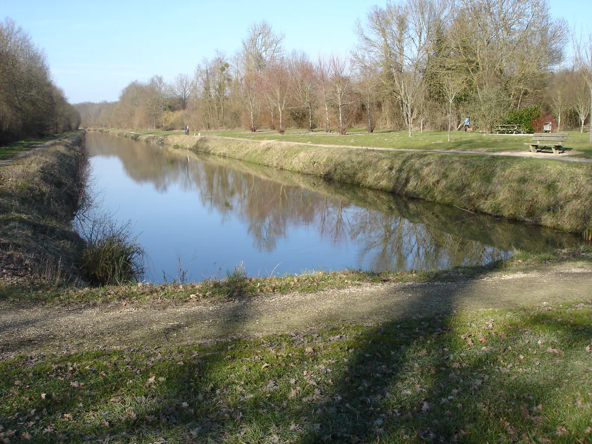 Canal de la Sauldre bordé d’arbres à son point de départ à Blancafort